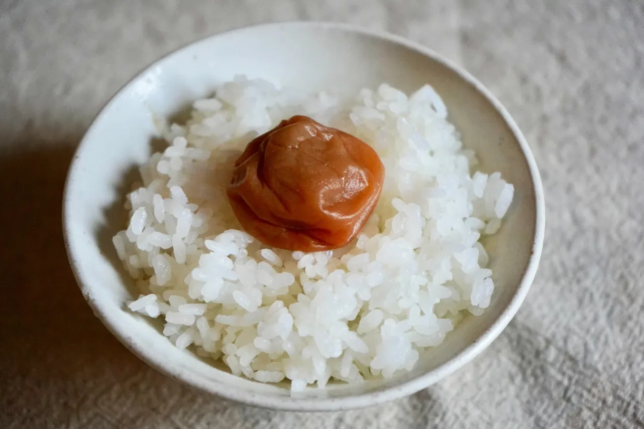 人気NO.1はコレ！「和歌山県アンテナショップ」売上ベスト7_1904907