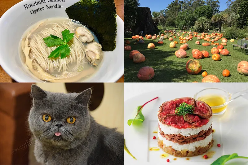 年に一度の肉のお祭りも！週末に行きたい東京イベントランキングTOP10【2018年10月9日版】