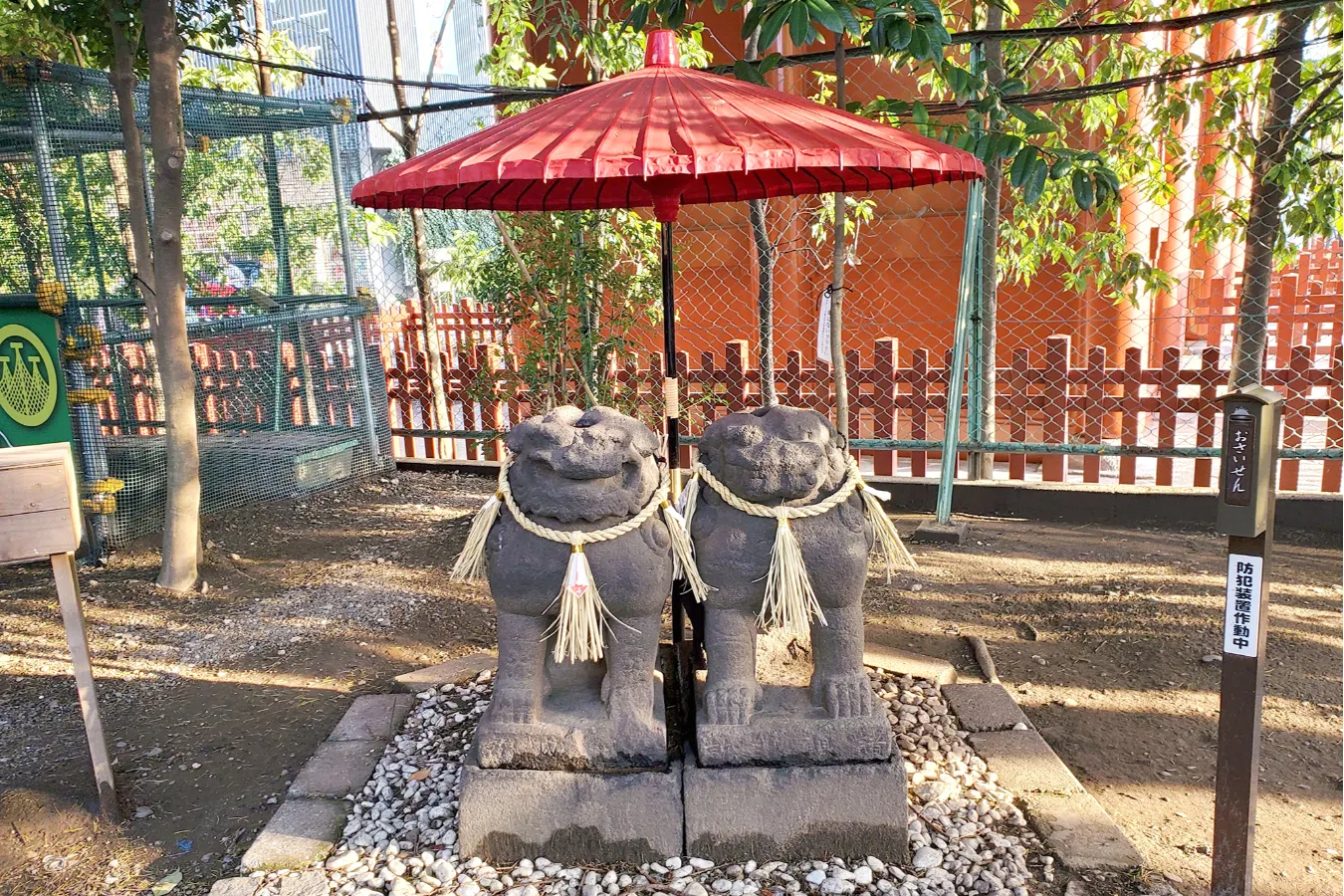 浅草神社の夫婦狛犬さん！狛犬愛好家・ミノシマタカコのイチ推し。