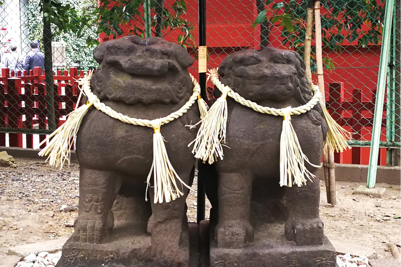 ▲にっこりラブラブな仲良し夫婦♡