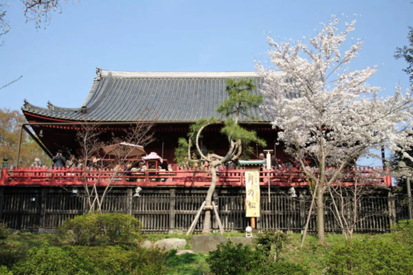 神社仏閣を巡る「上野お散歩コース」。おさえておきたい定番はココ！_1611561