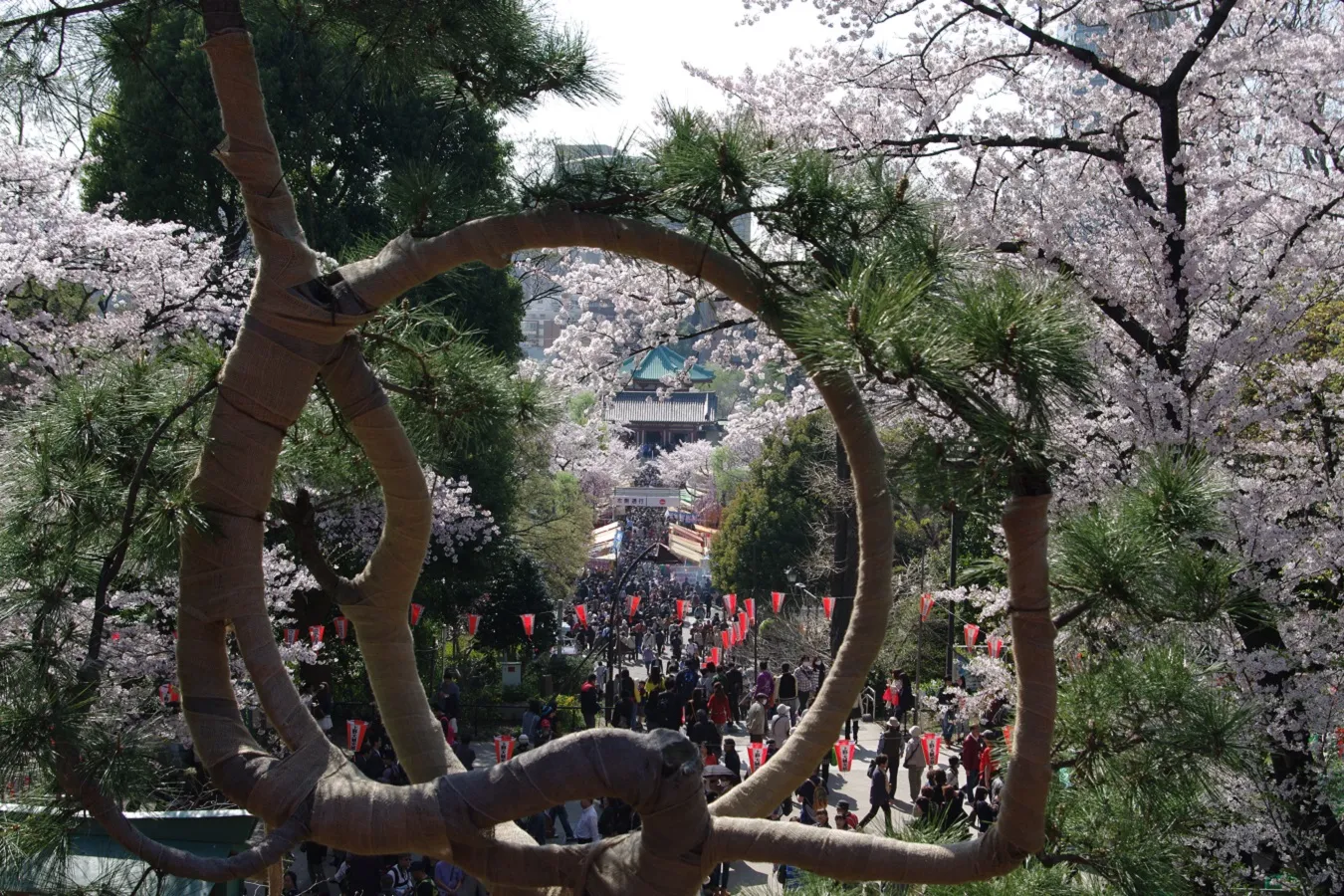 神社仏閣を巡る「上野お散歩コース」。おさえておきたい定番はココ！_1611562