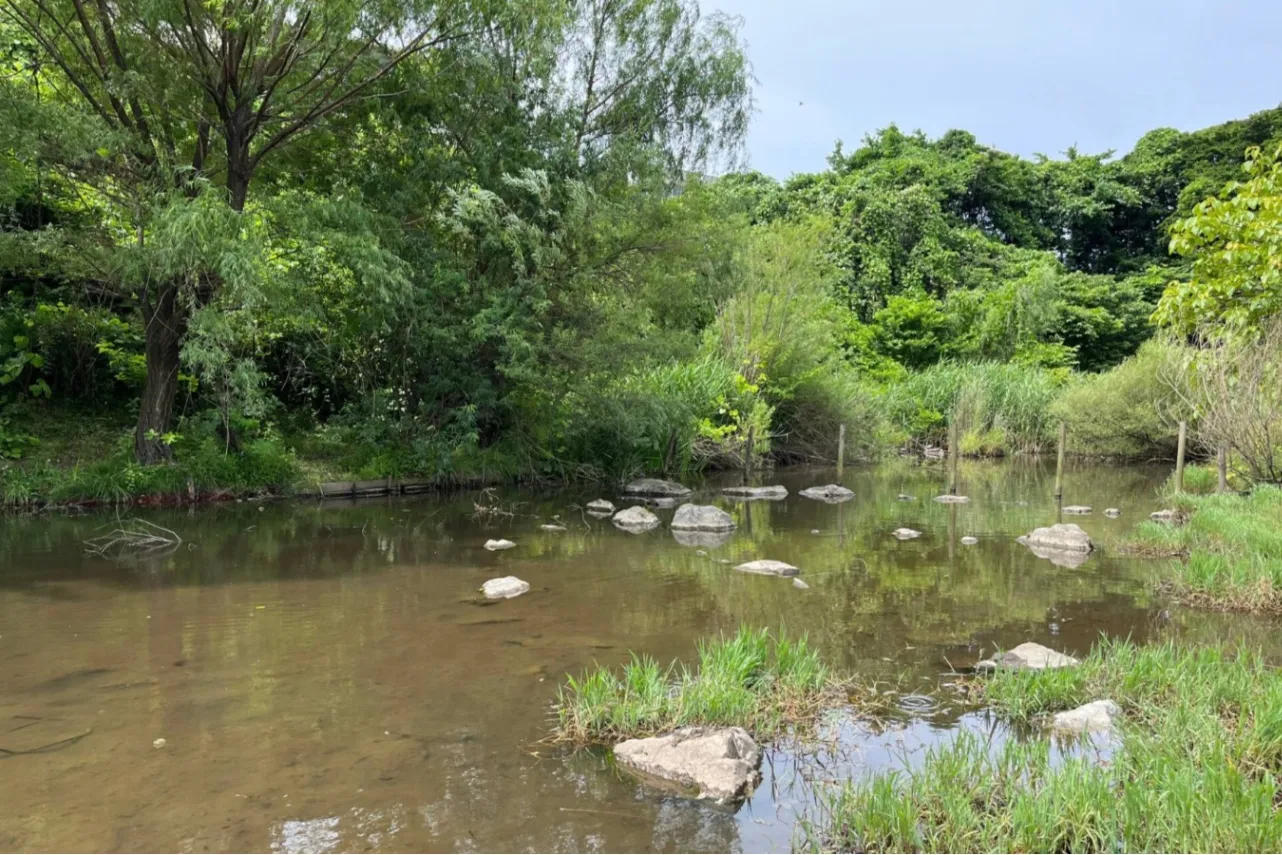 ▲じゃぶじゃぶ池