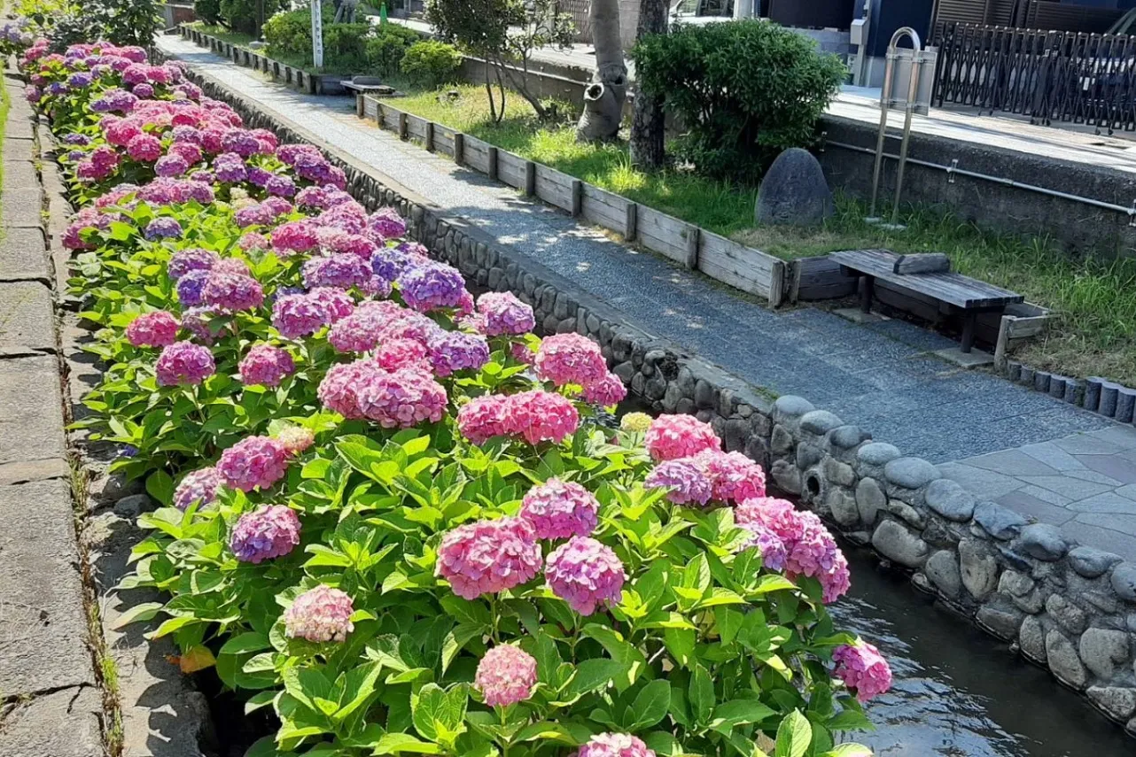 東京「じゃぶじゃぶ池・水遊び場」がある公園10選【2025】_2515491