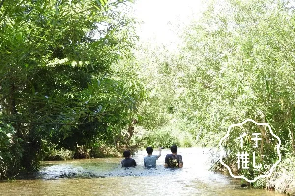 真夏でも自然を楽しめる水の楽園はココ！365日野草生活のんイチ推し。