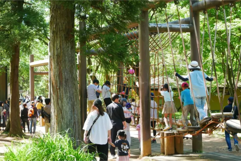埼玉にあるオススメの「アスレチック・公園」5選