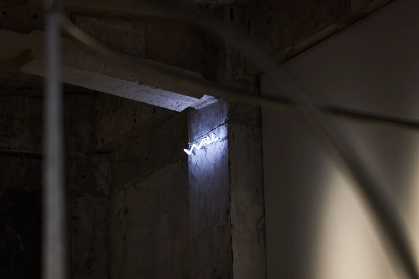 ▲photo by Aya Kawachi