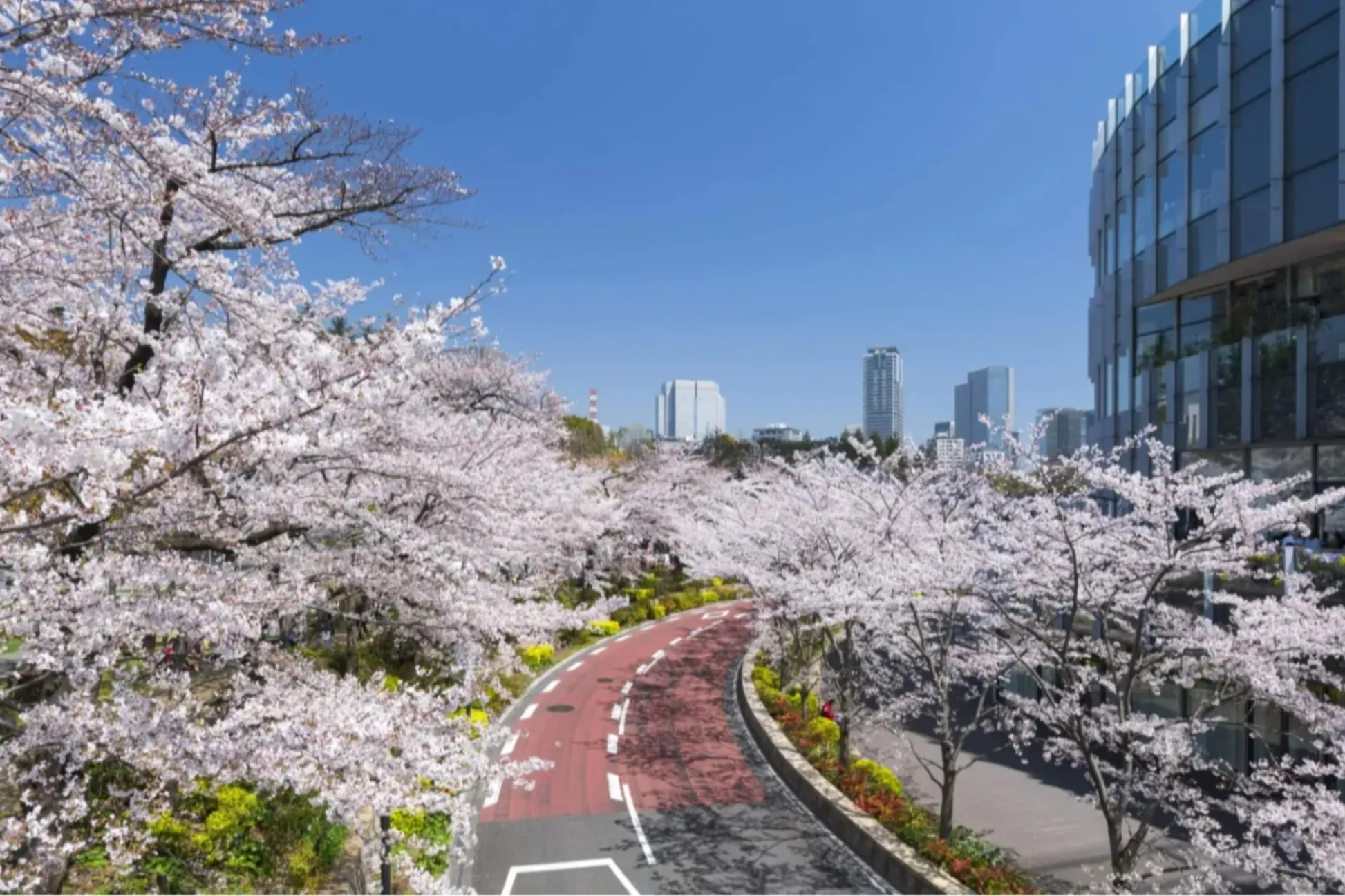 3月のデートどこ行こう？オススメの東京イベント＆スポット10選