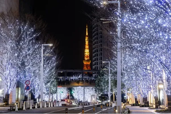 冬デートの大定番！東京のイルミネーションデートまとめ