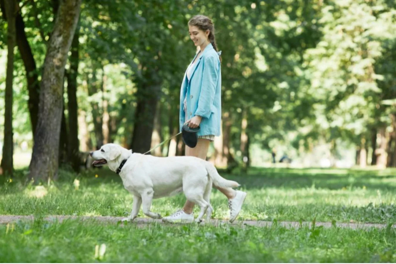 ▲お散歩コース イメージ