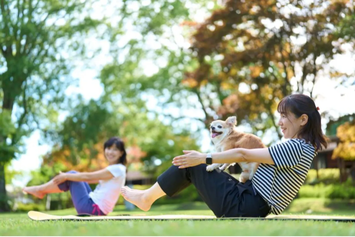 ▲サンライズヨガ イメージ