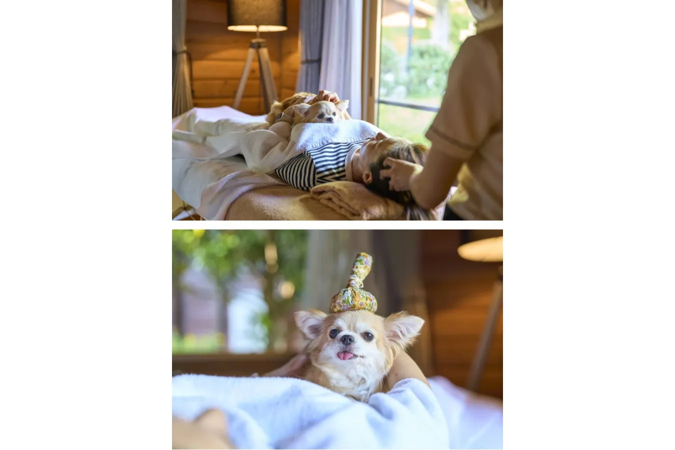 ▲スパ イメージ