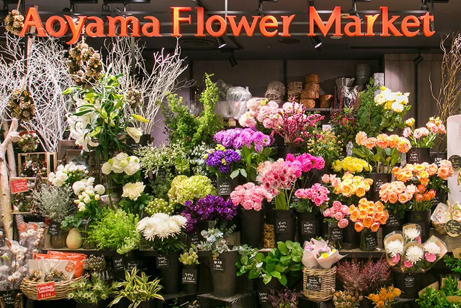 （PR）2019年のコトはじめ！ラン活に花のある暮らし…新年の目標スタートは横浜ジョイナスで！