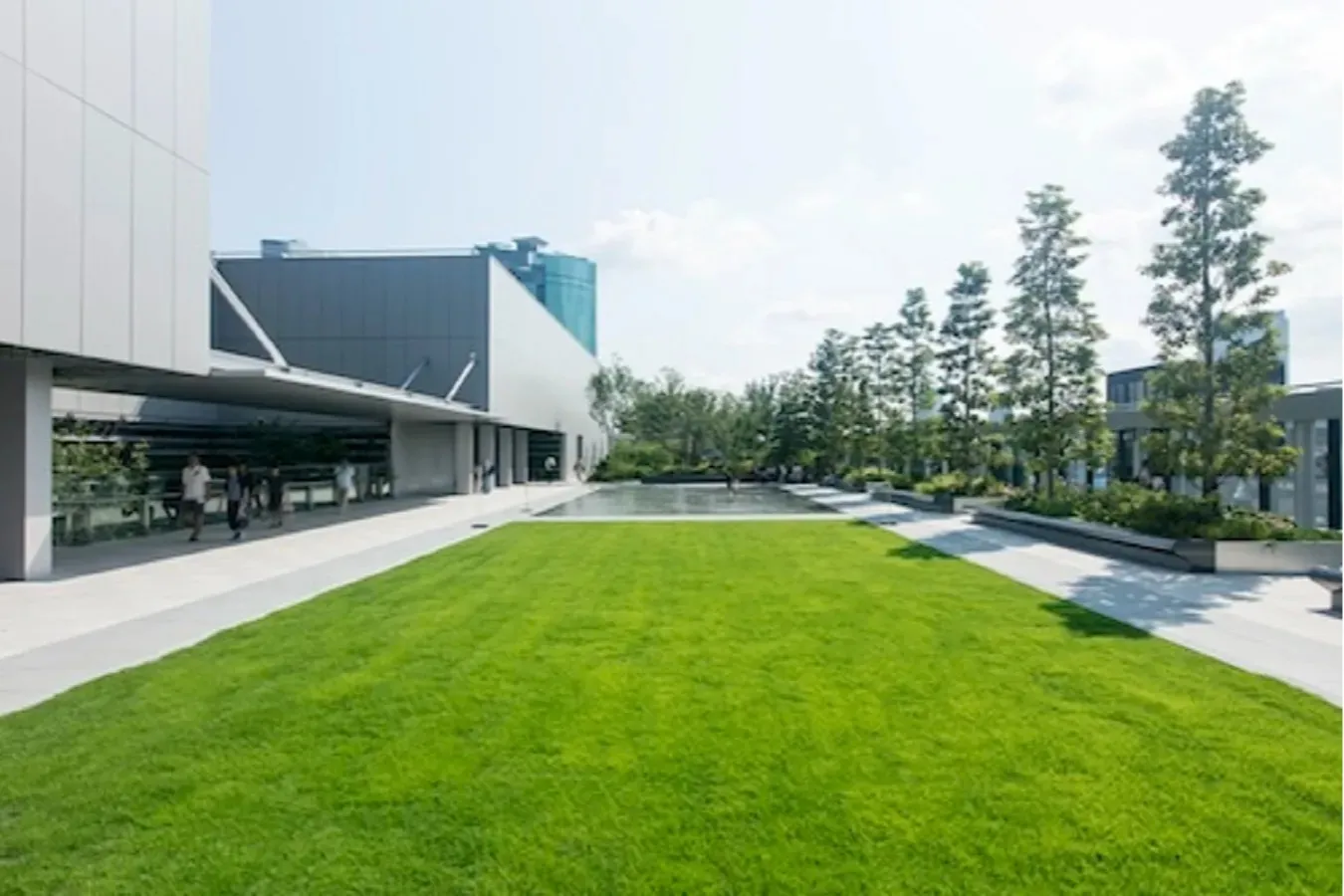 ▲屋上庭園 芝生ゾーン