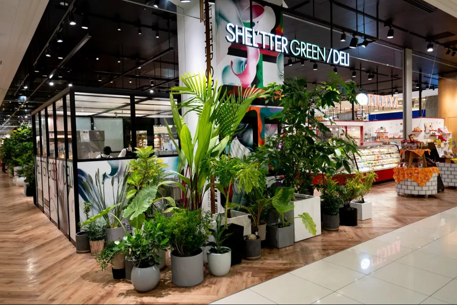 【川口】観葉植物×お惣菜「SHEL’TTER GREEN/DELI」オープン