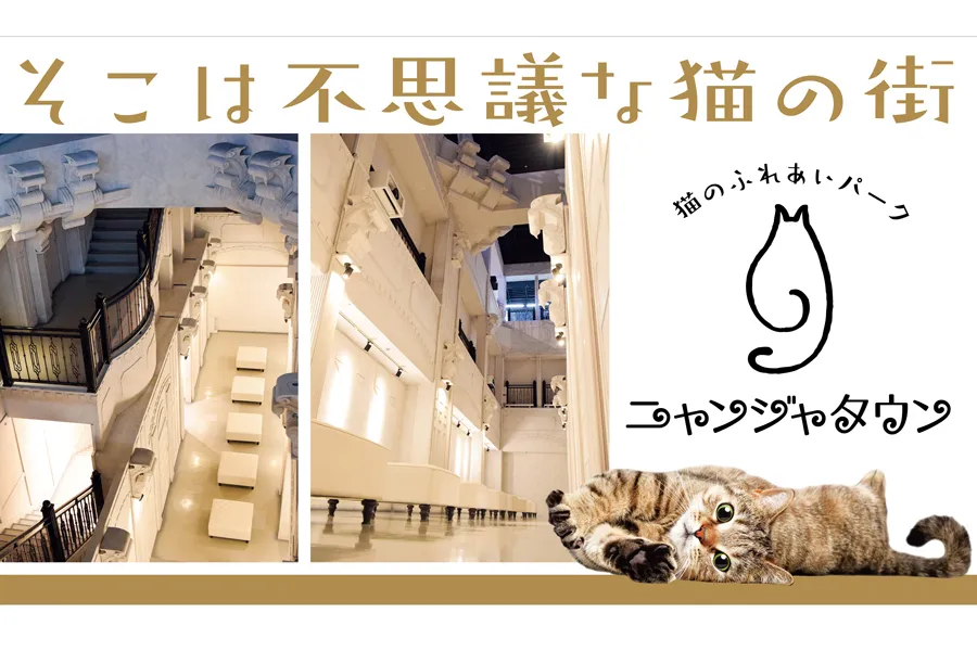 猫のふれあいパーク「ニャンジャタウン」が池袋に誕生