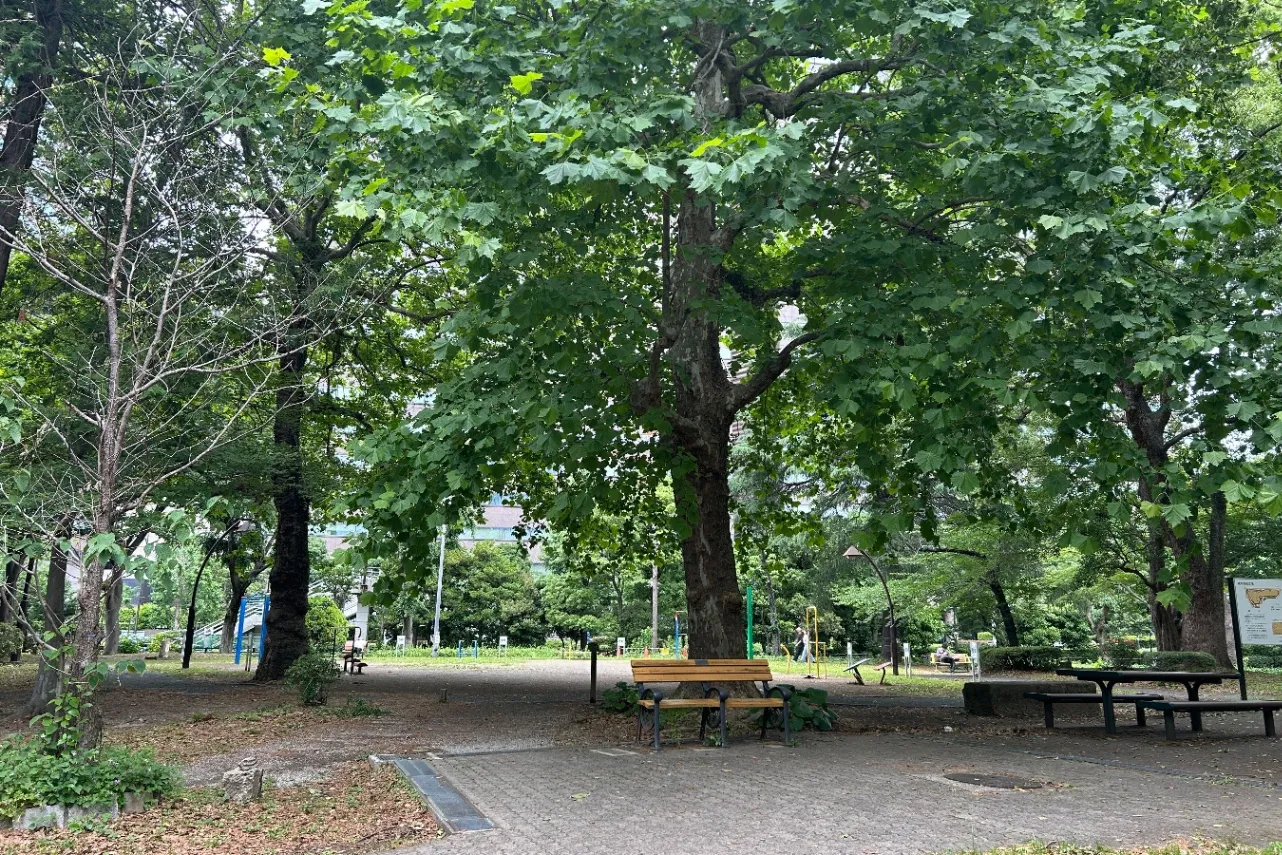 都会のど真ん中でリフレッシュ！日比谷公園「健康運動広場」で気軽に体を動かそう_3718783