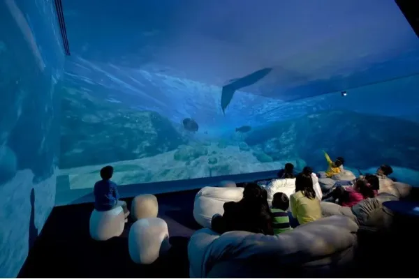 大人が無料で遊べる場所！東京のオススメ無料スポット10選