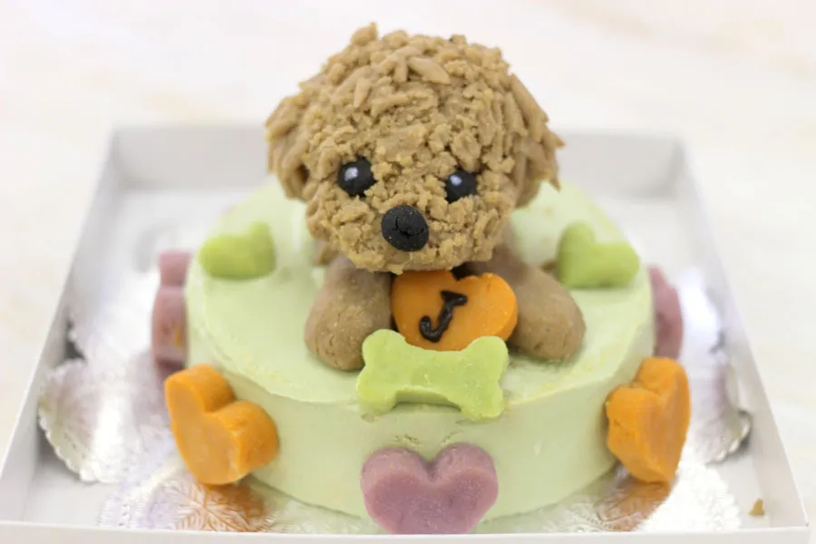 愛犬に可愛いワンコ型ケーキを手作り！話題の料理教室に参加してみた