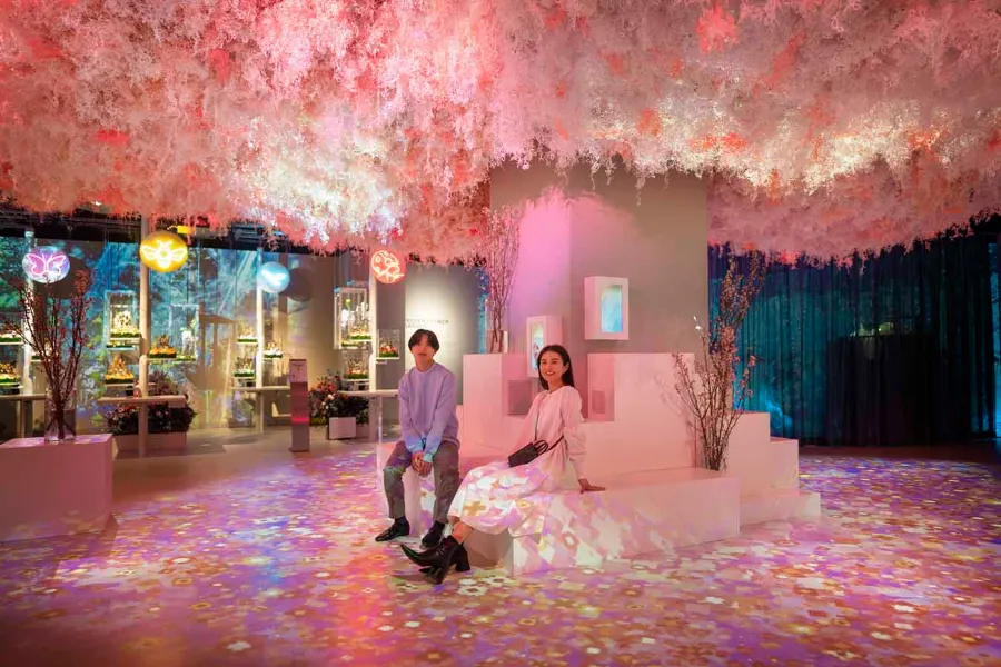 ▲「桜彩（オウサイ）」。プロジェクションマッピングで四季の美しさが広がる桜のアート空間　©naked inc.