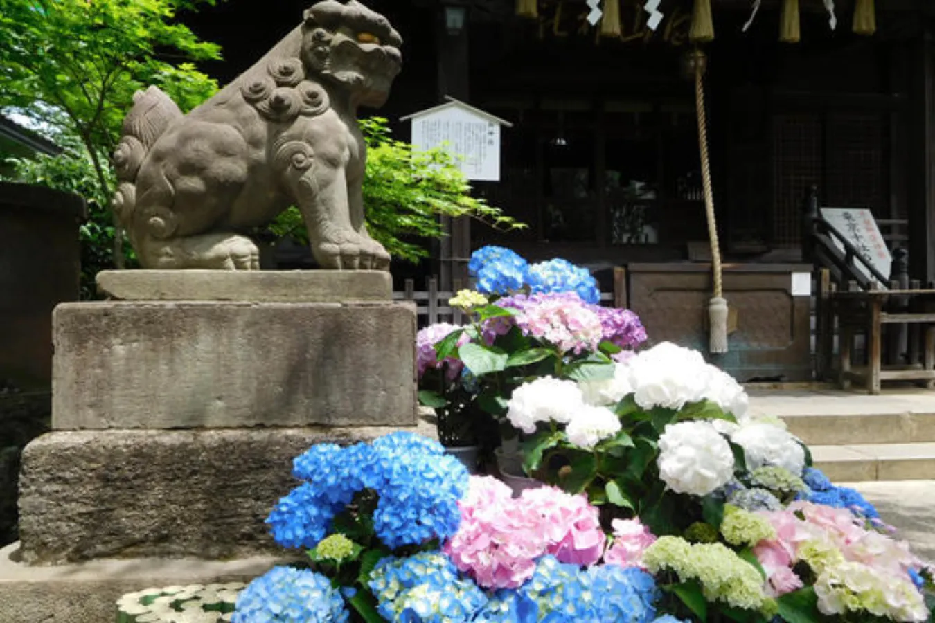 ▲写真提供：文京区