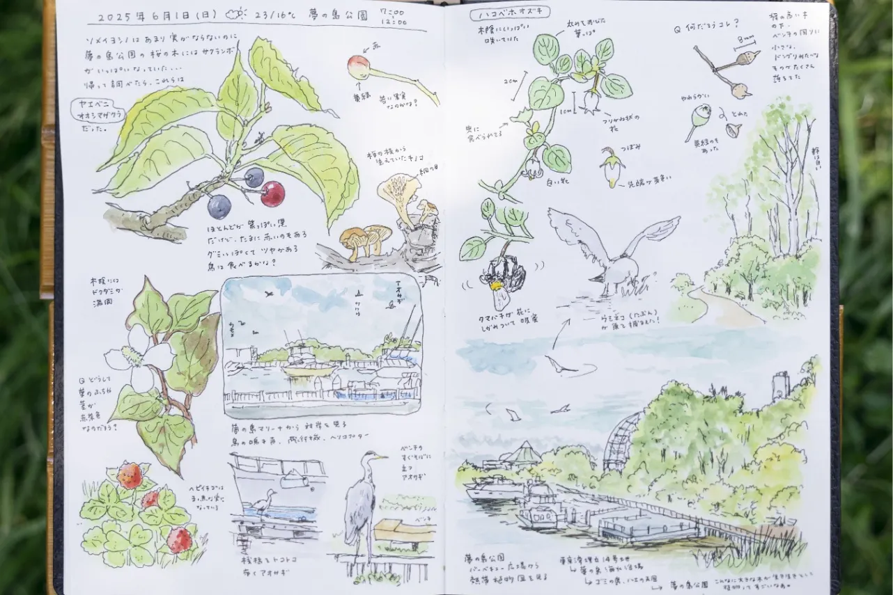 第10号の表紙に登場している「手描きノート」の秘密 ～ネイチャー