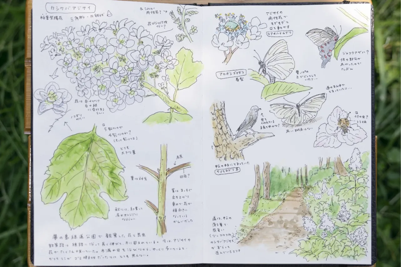 第10号の表紙に登場している「手描きノート」の秘密 ～ネイチャー