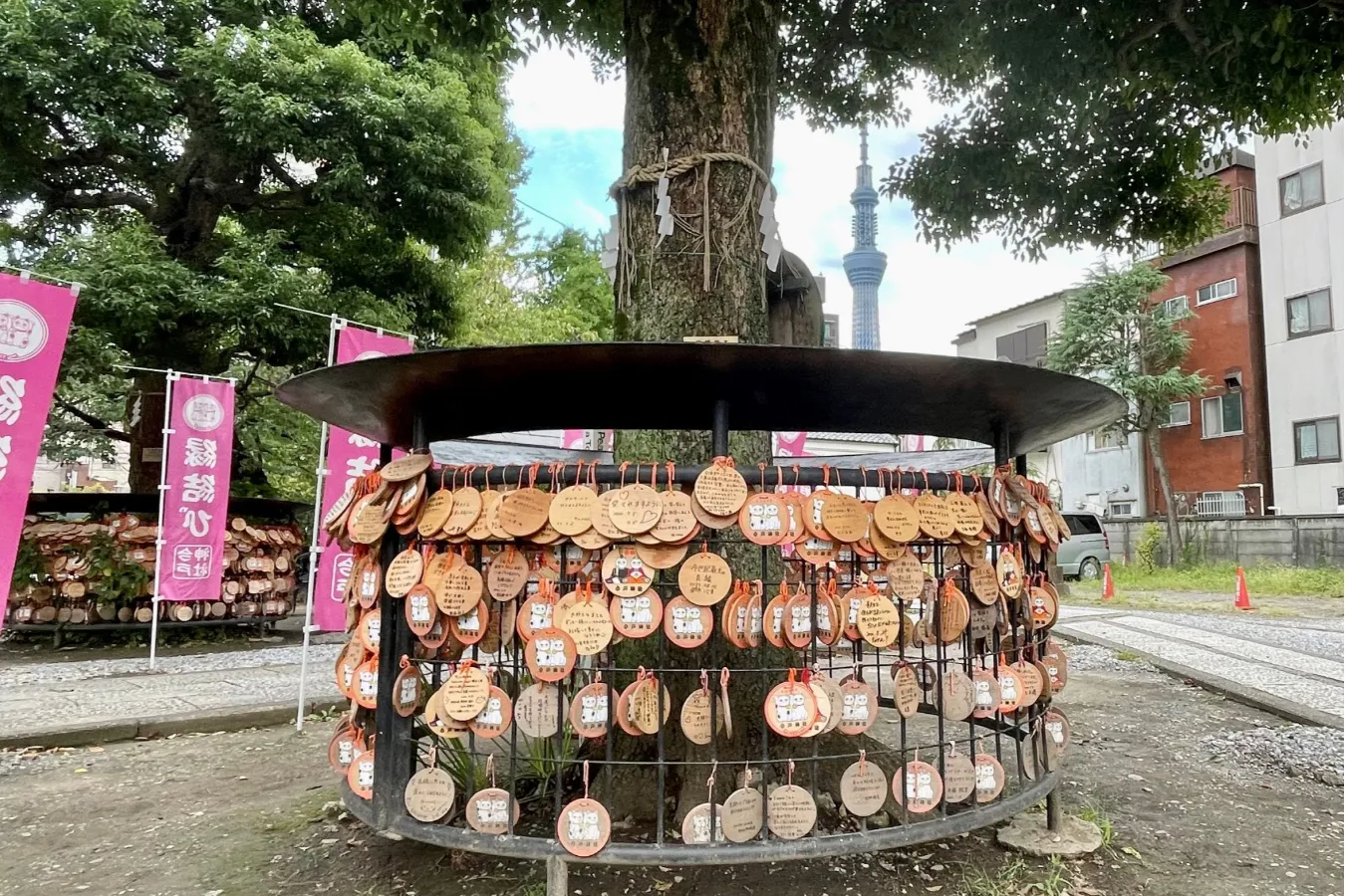幸運の“白猫”がリアルにいる!? 招き猫発祥の地・浅草「今戸神社」へ_556777