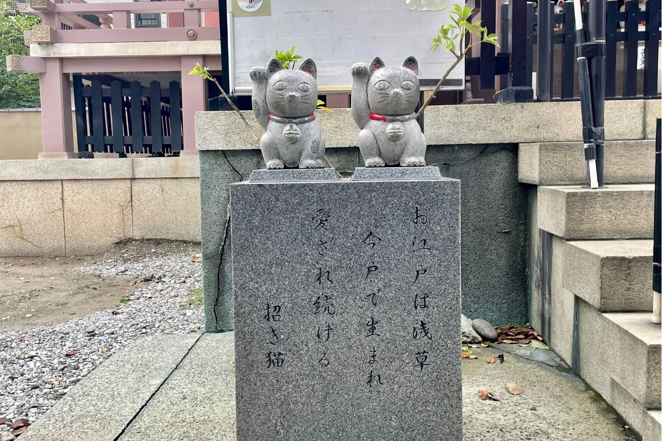幸運の“白猫”がリアルにいる!? 招き猫発祥の地・浅草「今戸神社」へ_556778