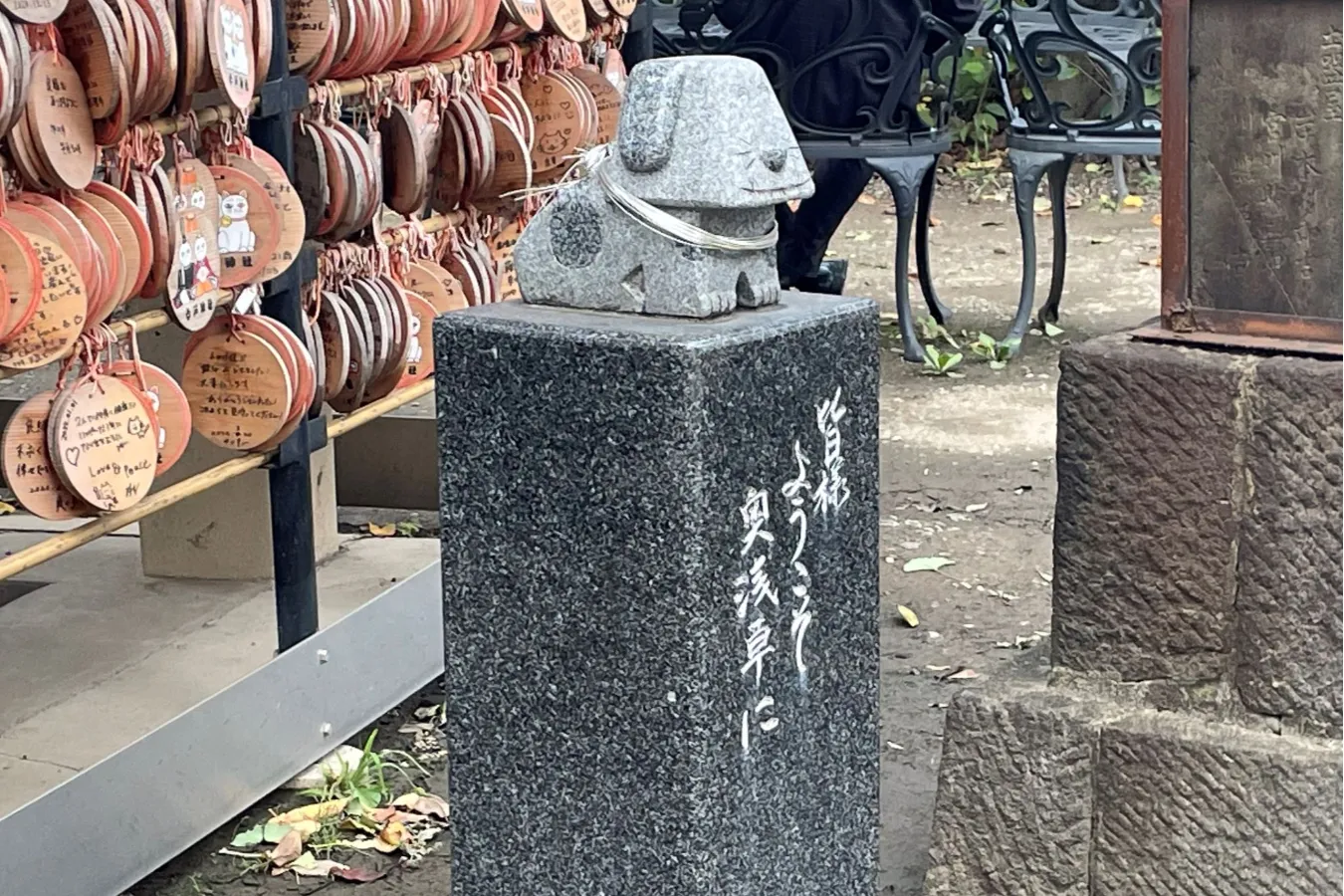 ▲これは、犬・・・？