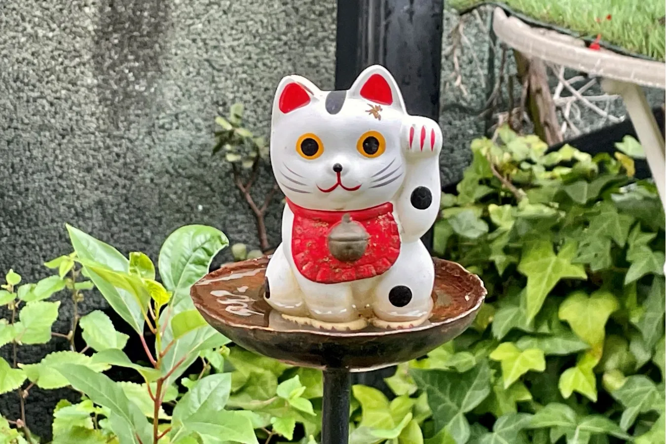 幸運の“白猫”がリアルにいる!? 招き猫発祥の地・浅草「今戸神社」へ_556780