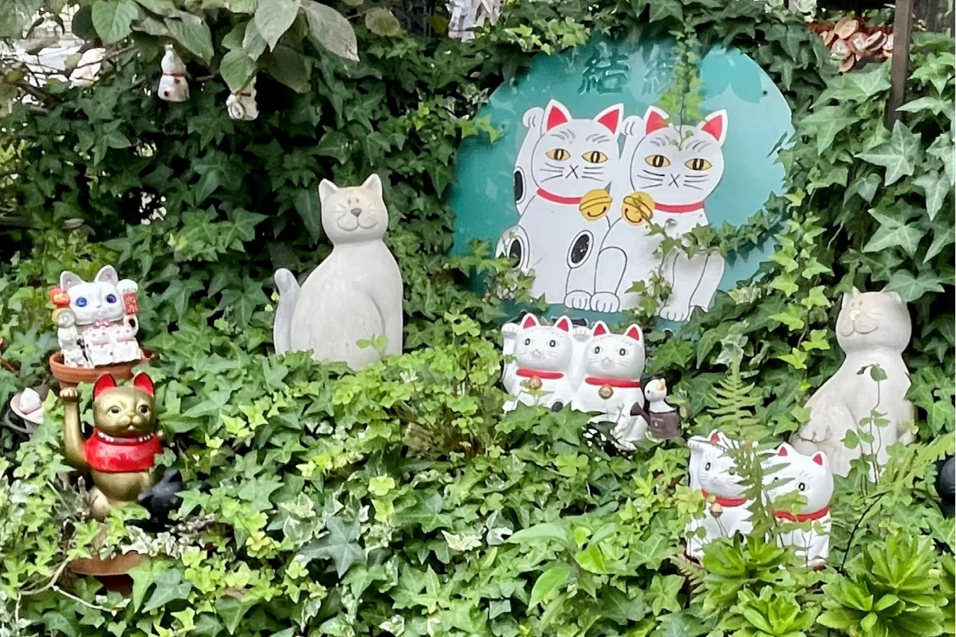 東京　今戸神社　招き猫 幸運の“白猫”がリアルにいる!? 招き猫発祥の地・浅草「今戸神社」