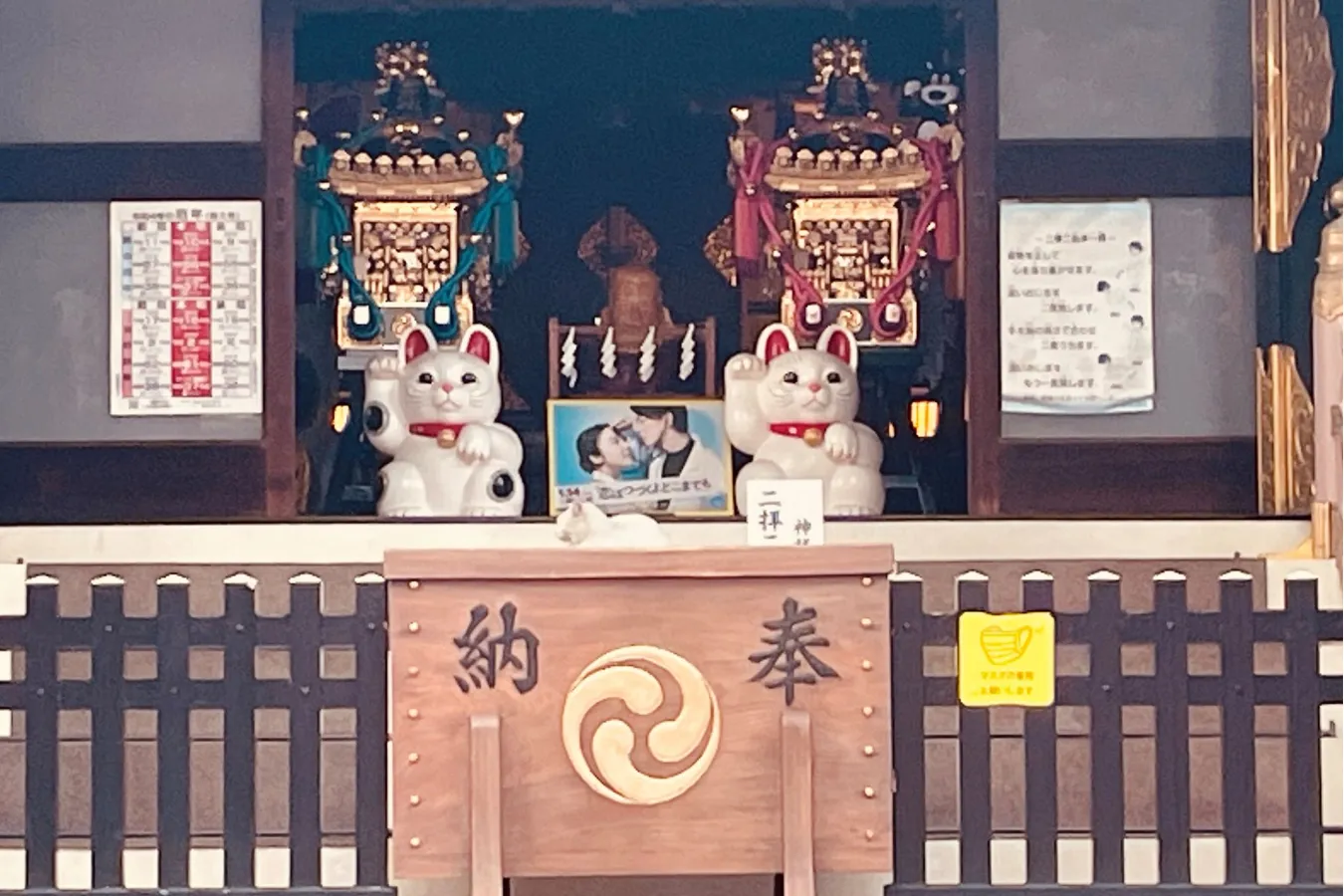 幸運の“白猫”がリアルにいる!? 招き猫発祥の地・浅草「今戸神社」へ_556784