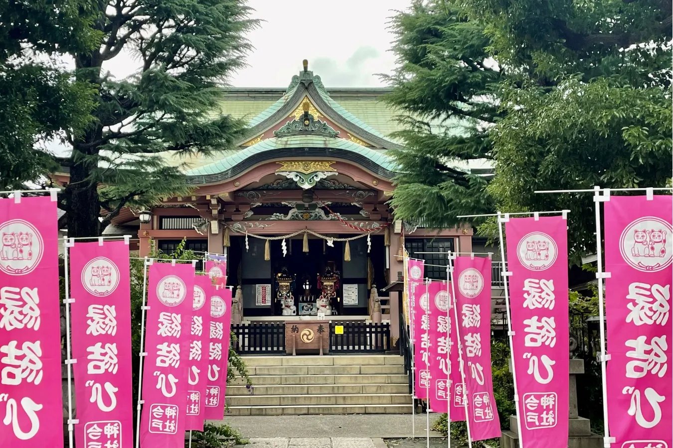 幸運の“白猫”がリアルにいる!? 招き猫発祥の地・浅草「今戸神社」へ_556787
