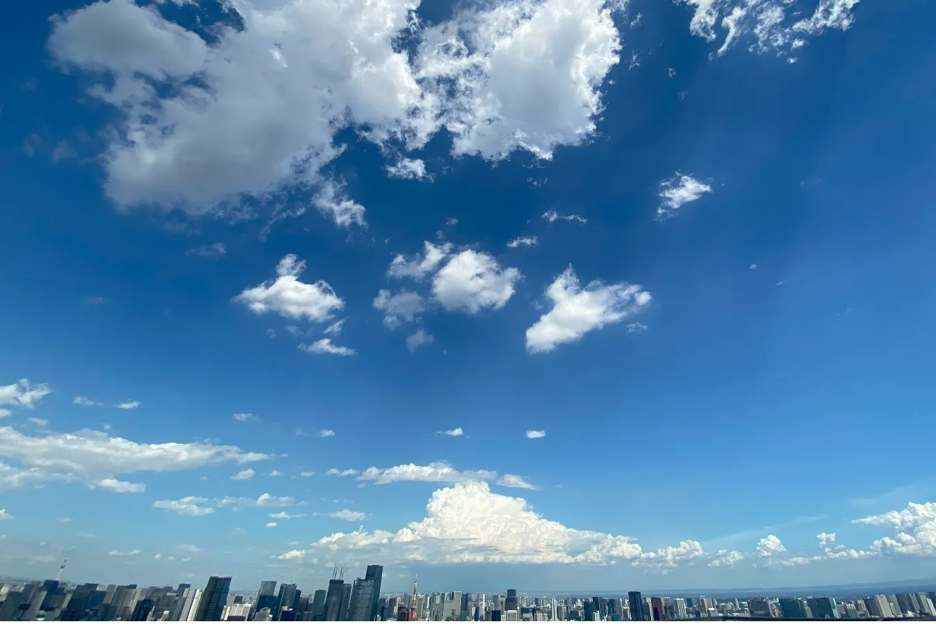 ▲この開放的な大パノラマはオープンエアな展望施設ならでは！