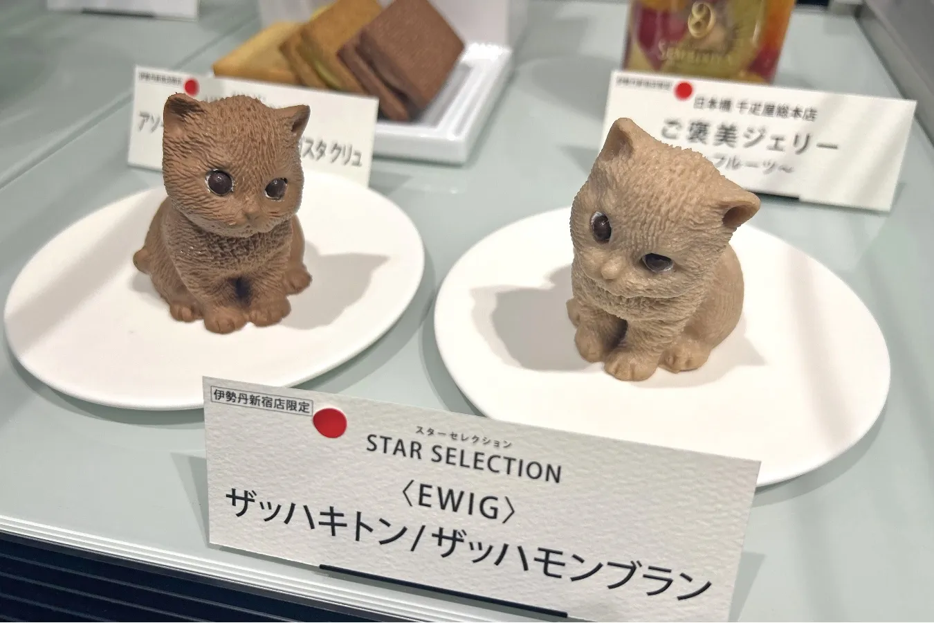 ▲EWIG「ザッハキトン」（撮影：レッツエンジョイ東京編集部）