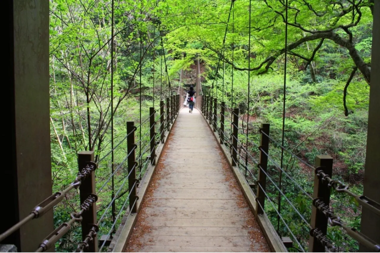 ▲高尾山4号路つり橋　ⒸHachioji City