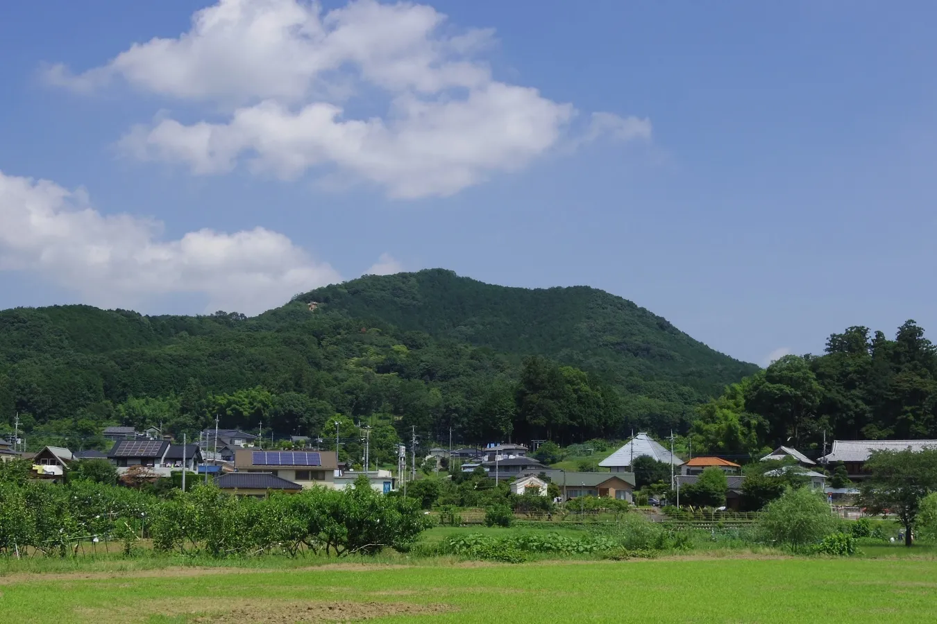 ▲写真提供：日高市
