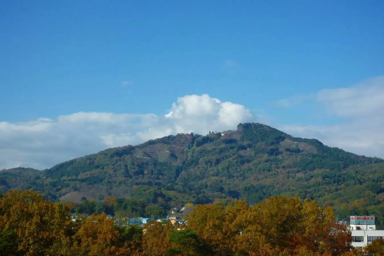 ▲宝登山の全景（写真提供：長瀞町観光協会）