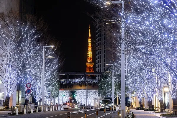 冬デートの大定番！東京のイルミネーションデート7選【2024～25年】