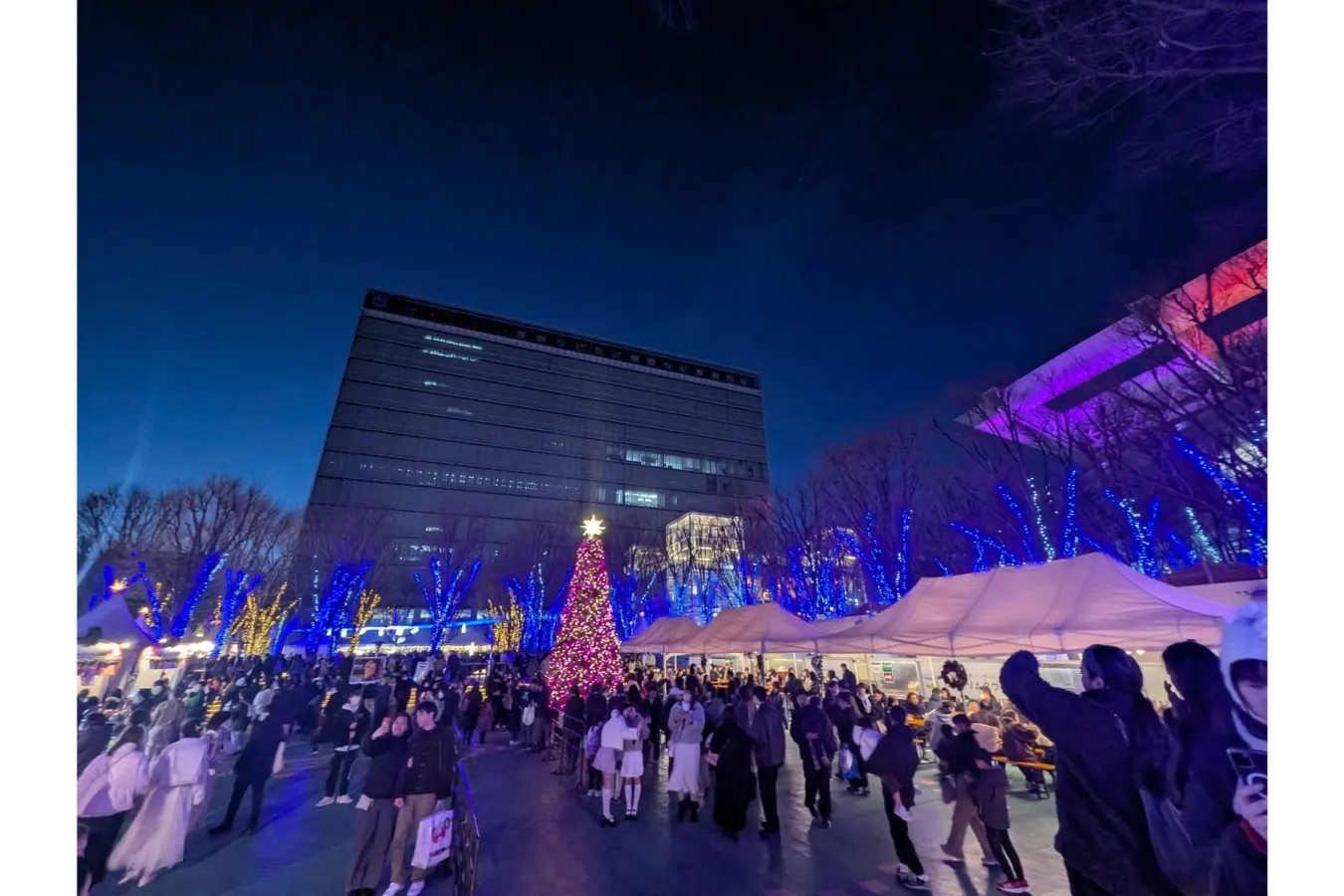 ▲クリスマスマーケット全景