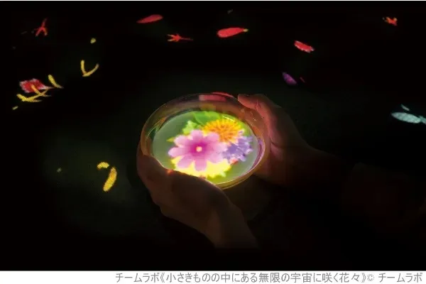 麻布台ヒルズ「チームラボボーダレス」に「EN TEA HOUSE - 幻花亭」誕生