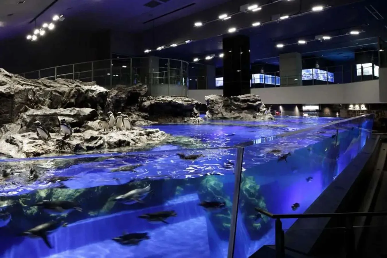 暑い夏も快適！涼しい夏デートスポット21選【都内・東京近郊】_2590667