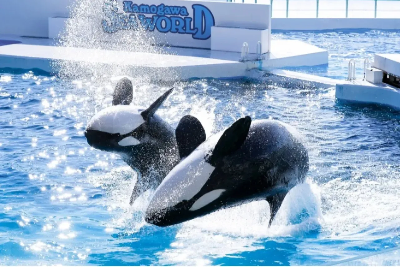 暑い夏も快適！涼しい夏デートスポット21選【都内・東京近郊】_2590678