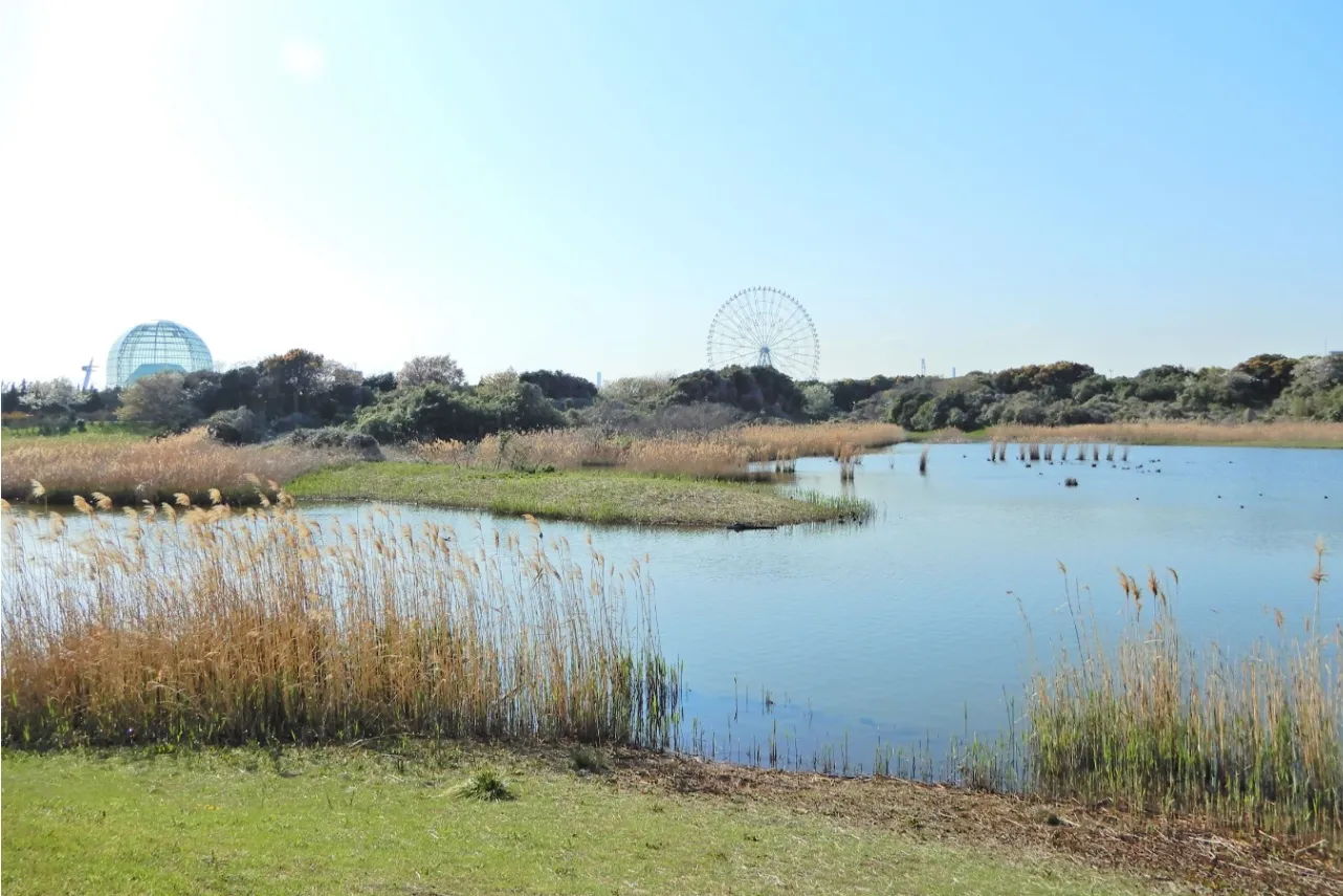 葛西臨海公園デートなら！おすすめプラン＆スポット9選_3572708
