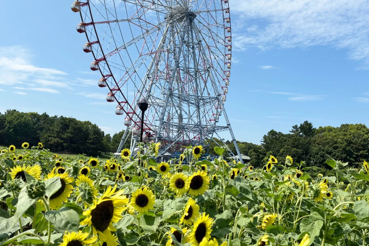 葛西臨海公園デートなら！おすすめプラン＆スポット9選_3572712