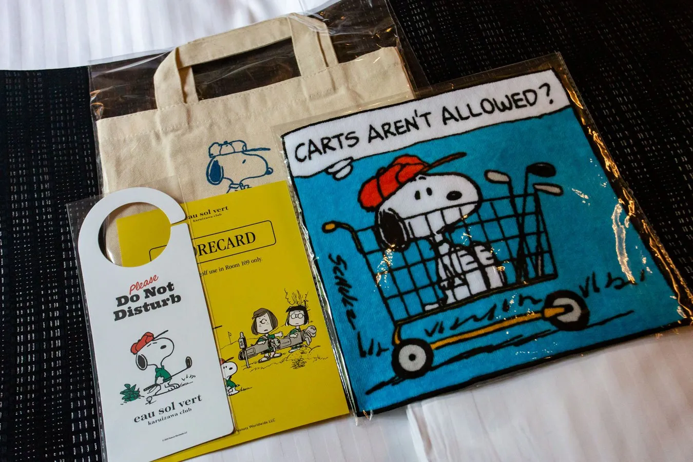 (c)2025 Peanuts Worldwide LLC.