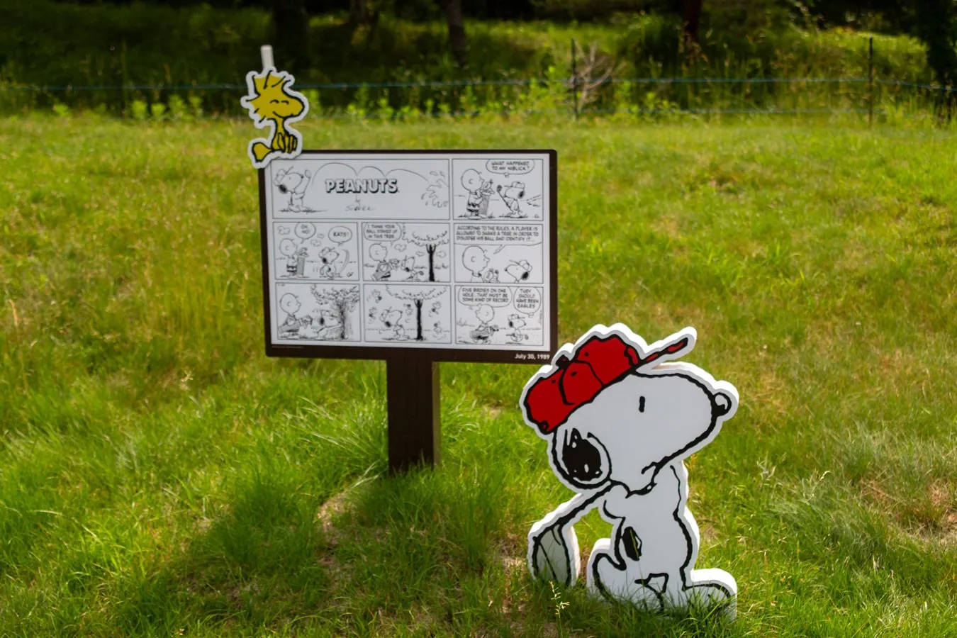 ▲PEANUTSホールでは、まずコミックを楽しんでからプレーをスタート！（ｃ）2025 Peanuts Worldwide LLC.