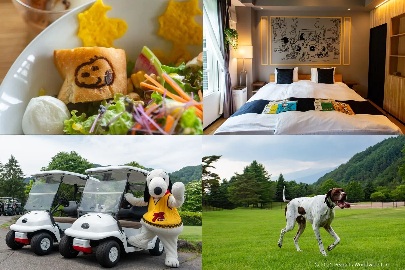 スヌーピー　ゴルフ 楽天市場】【PREMIUM CHOICE】SNOOPY GOLFスヌーピーゴルフRELAX TO