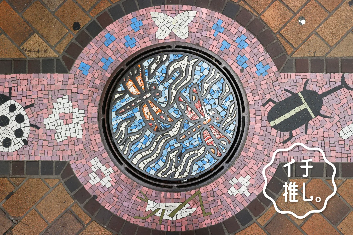 鋳物の街・川口でマンホール巡り！鉄蓋愛好家・白浜公平のイチ推し。